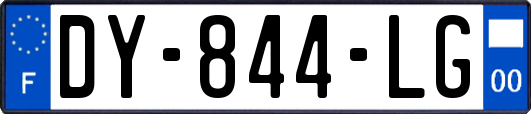 DY-844-LG