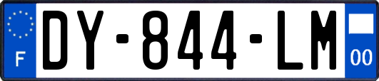 DY-844-LM