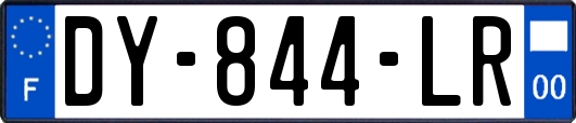 DY-844-LR