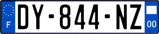 DY-844-NZ