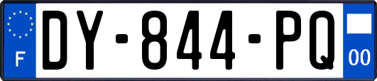 DY-844-PQ