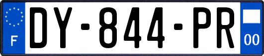 DY-844-PR