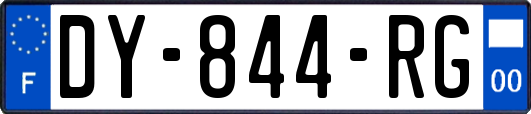 DY-844-RG