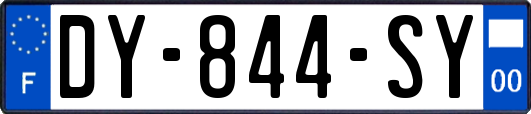 DY-844-SY