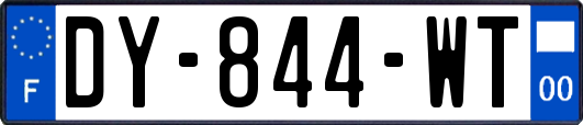 DY-844-WT