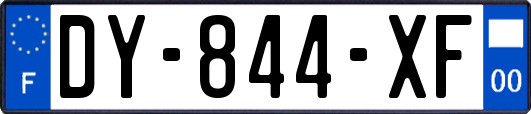 DY-844-XF