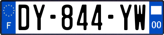 DY-844-YW