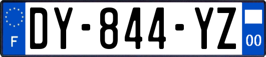 DY-844-YZ