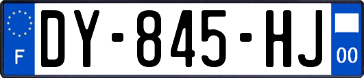 DY-845-HJ