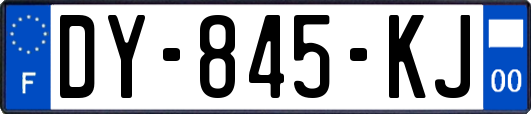 DY-845-KJ