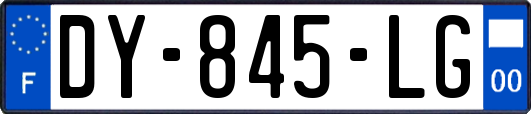 DY-845-LG