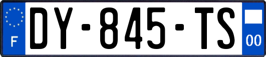 DY-845-TS