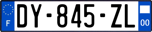 DY-845-ZL