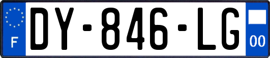DY-846-LG