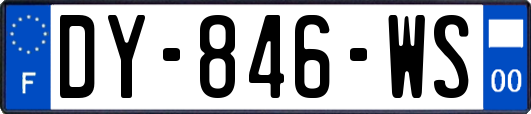 DY-846-WS