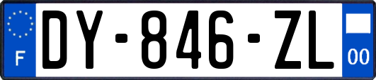 DY-846-ZL