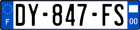 DY-847-FS