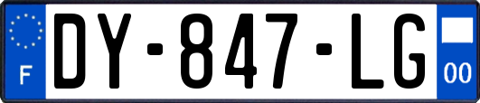 DY-847-LG