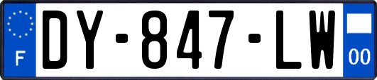 DY-847-LW