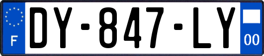 DY-847-LY