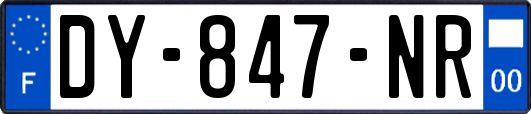 DY-847-NR