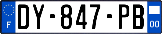 DY-847-PB