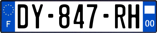 DY-847-RH