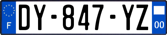 DY-847-YZ