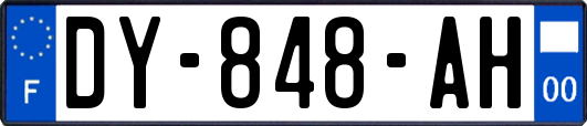 DY-848-AH