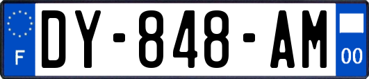 DY-848-AM