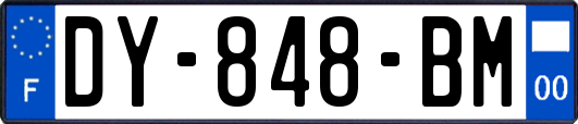 DY-848-BM