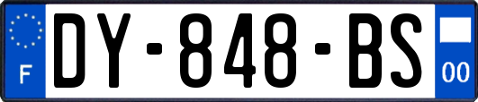 DY-848-BS