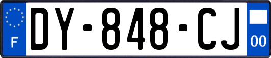 DY-848-CJ