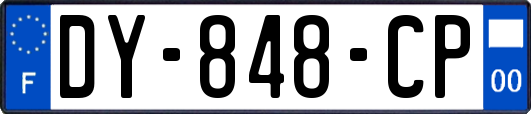 DY-848-CP