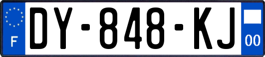 DY-848-KJ