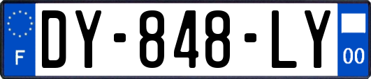 DY-848-LY