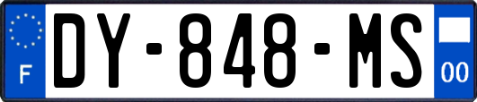 DY-848-MS