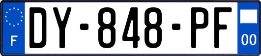 DY-848-PF