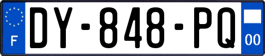 DY-848-PQ