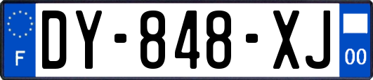 DY-848-XJ