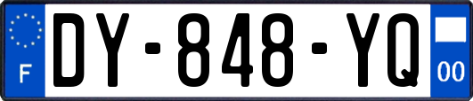 DY-848-YQ