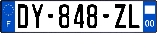 DY-848-ZL