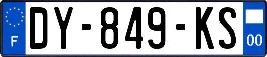 DY-849-KS