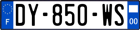 DY-850-WS