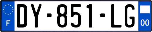 DY-851-LG