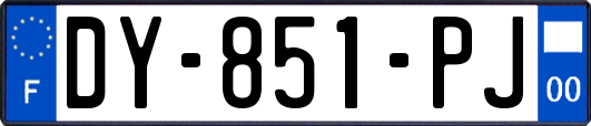 DY-851-PJ