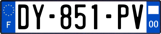 DY-851-PV