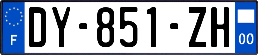 DY-851-ZH