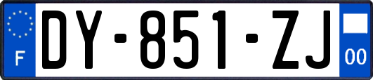 DY-851-ZJ