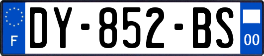 DY-852-BS